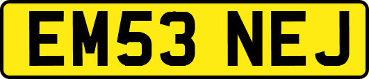 EM53NEJ
