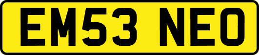 EM53NEO