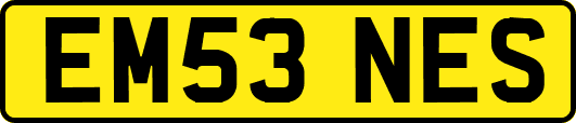 EM53NES