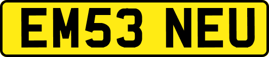 EM53NEU
