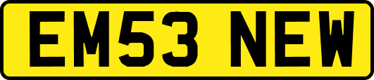 EM53NEW