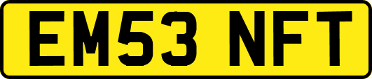 EM53NFT