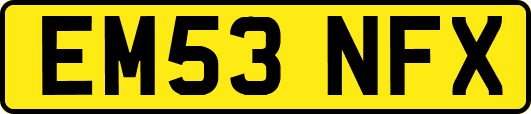 EM53NFX