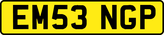 EM53NGP