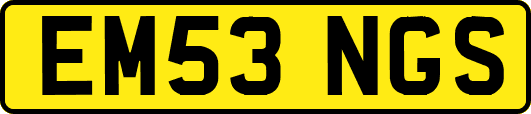 EM53NGS