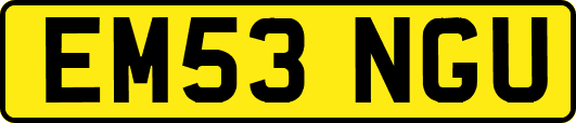 EM53NGU