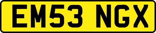 EM53NGX