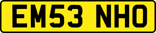 EM53NHO