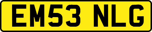 EM53NLG