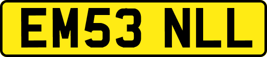 EM53NLL