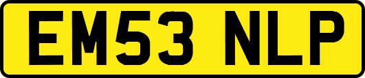 EM53NLP