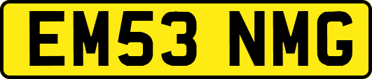 EM53NMG