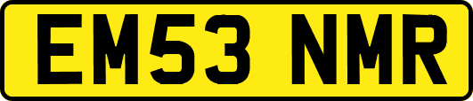 EM53NMR