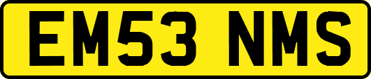 EM53NMS