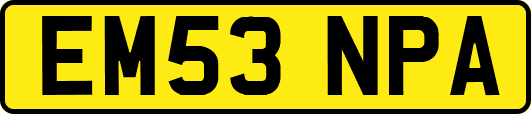 EM53NPA