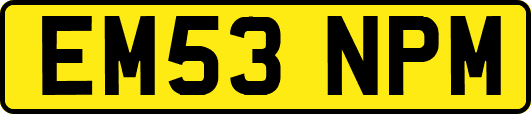 EM53NPM