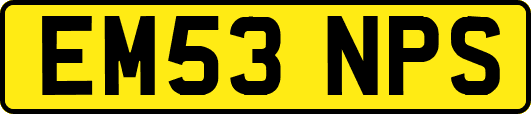 EM53NPS