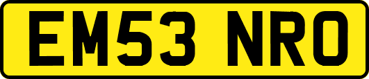 EM53NRO