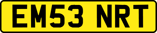 EM53NRT