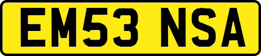 EM53NSA