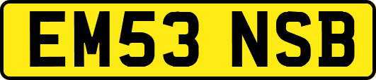 EM53NSB