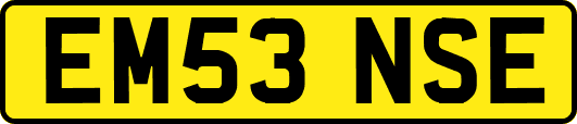 EM53NSE