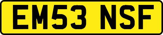 EM53NSF