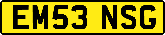EM53NSG