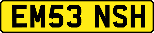 EM53NSH