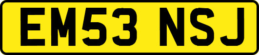 EM53NSJ