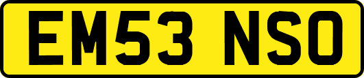 EM53NSO