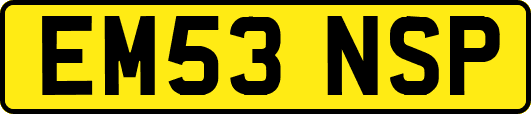 EM53NSP