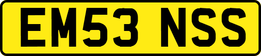 EM53NSS