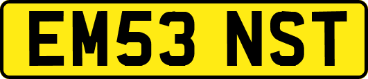 EM53NST