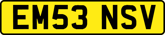 EM53NSV