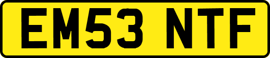 EM53NTF