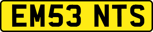 EM53NTS