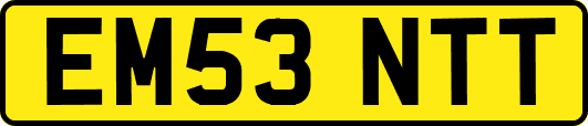 EM53NTT