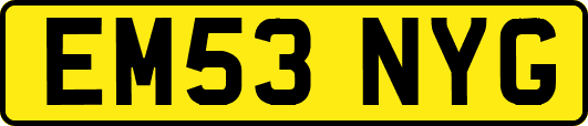 EM53NYG