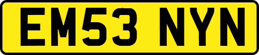 EM53NYN
