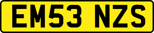 EM53NZS