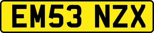 EM53NZX