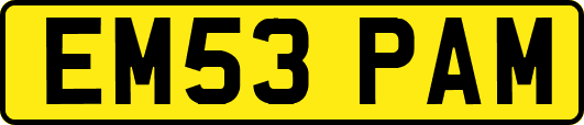 EM53PAM