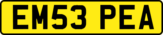 EM53PEA