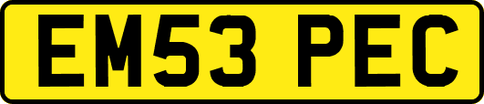 EM53PEC