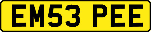 EM53PEE