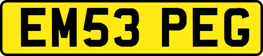 EM53PEG
