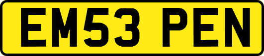 EM53PEN