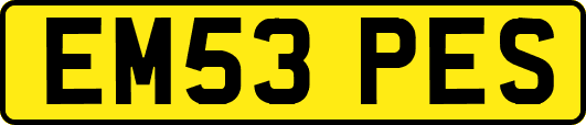 EM53PES