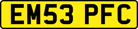 EM53PFC